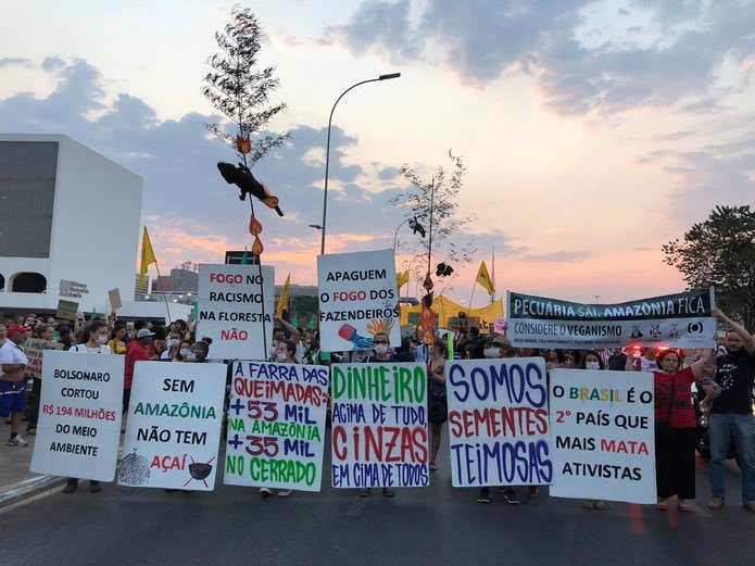 Global Climate Strikes 2019-09 / Brasilien. Bild: copy Douglas Protázio