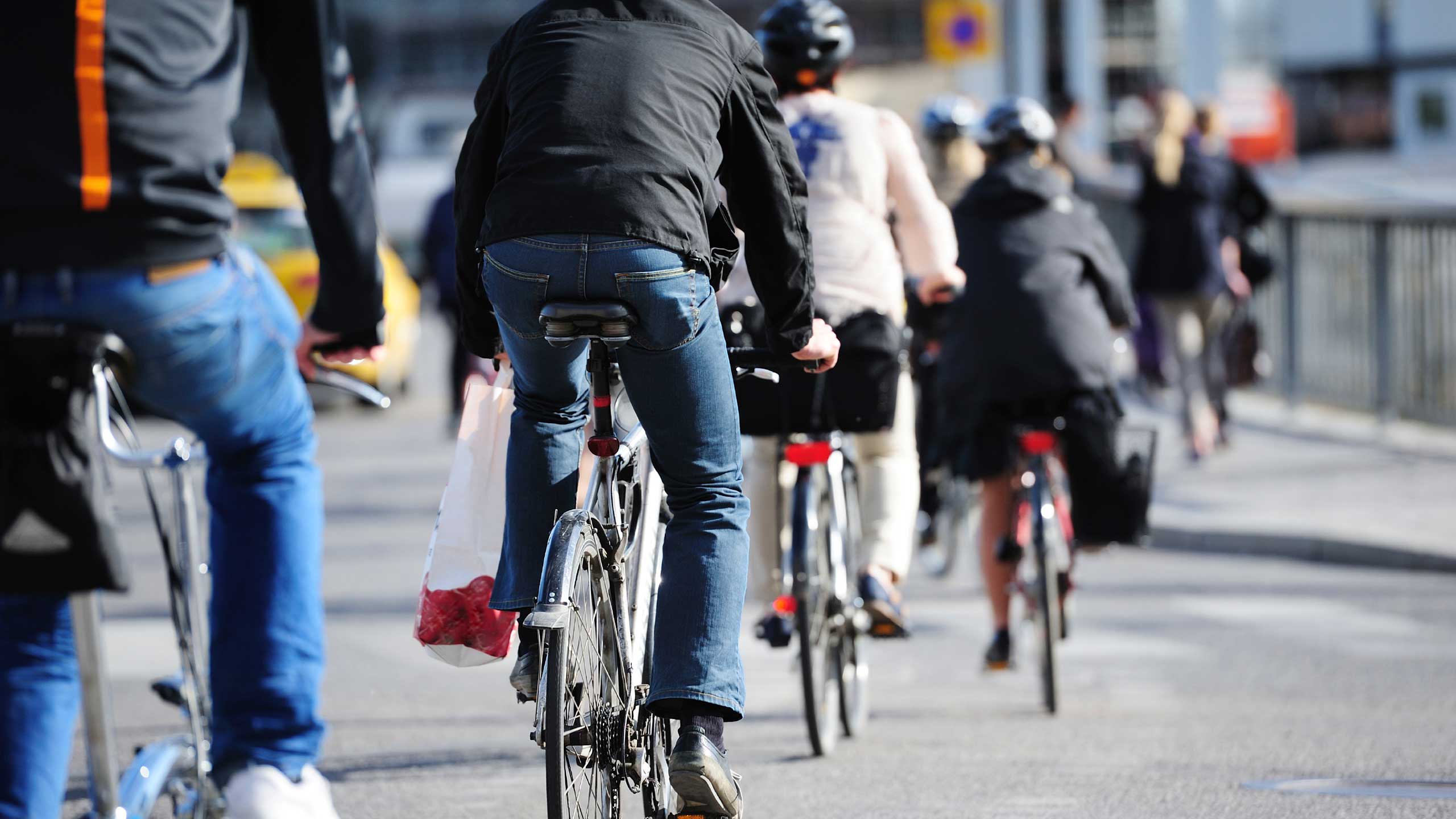 Mehrere Radfahrende (Ansicht von hinten) in einer typischen Alltagssituation. Ein Radfahrer hat eine Einkaufstüte am Lenker.
