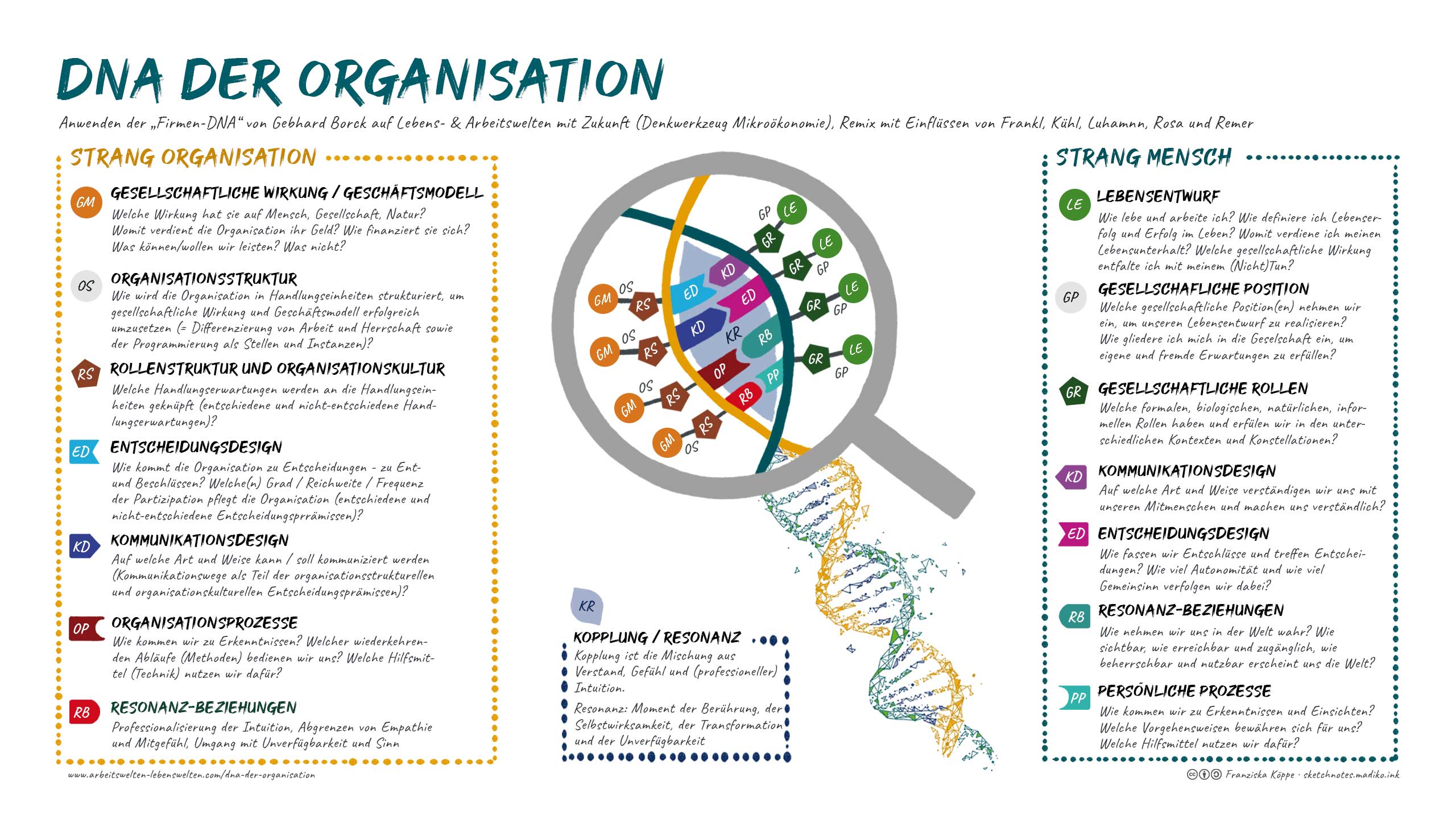 DNA der Organisation als Sketchnotes mit den beiden Strängen: Die Organisation als System und der Mensch, der dem System Leben einhaucht. . Bild: cc Franziska Köppe | madiko