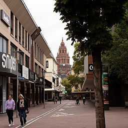 Gepflasterte Nebenstraße in der Altstadt Mainz'. Im Vordergrund rechts ein Baum, dessen Stamm fast komplett eingefasst ist mit Pflastersteinen und Schotter. Im Hintergrund der Turm vom Mainzer Dom.