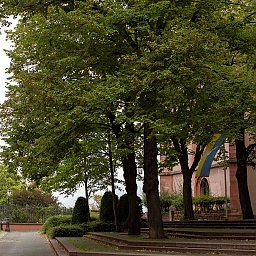 Platz vor St. Stephan mit alten Bäumen, einer Friedensfahne in gelb-blau (Farben der Ukraine mit weißer Taube).