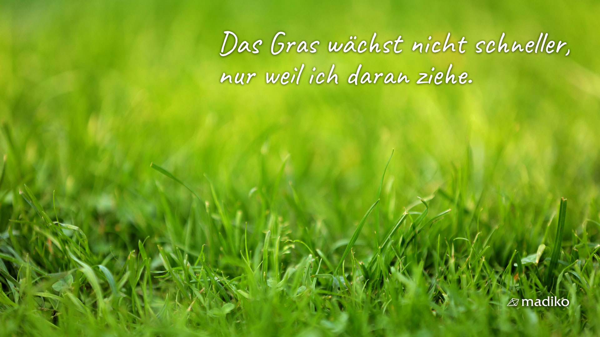 Das Gras wächst nicht schneller, nur weil ich daran ziehe.. Bild: copy Franziska Köppe | madiko